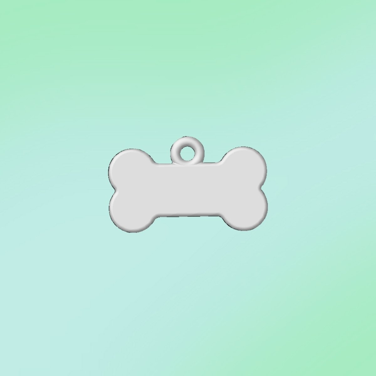 llavero hueso grande