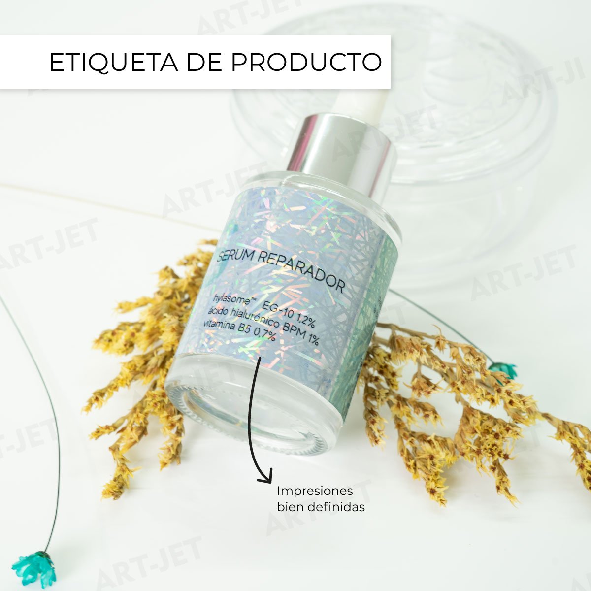 holofan a4 telaraña de campo